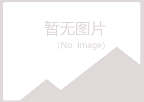 兴山区从安木材有限公司